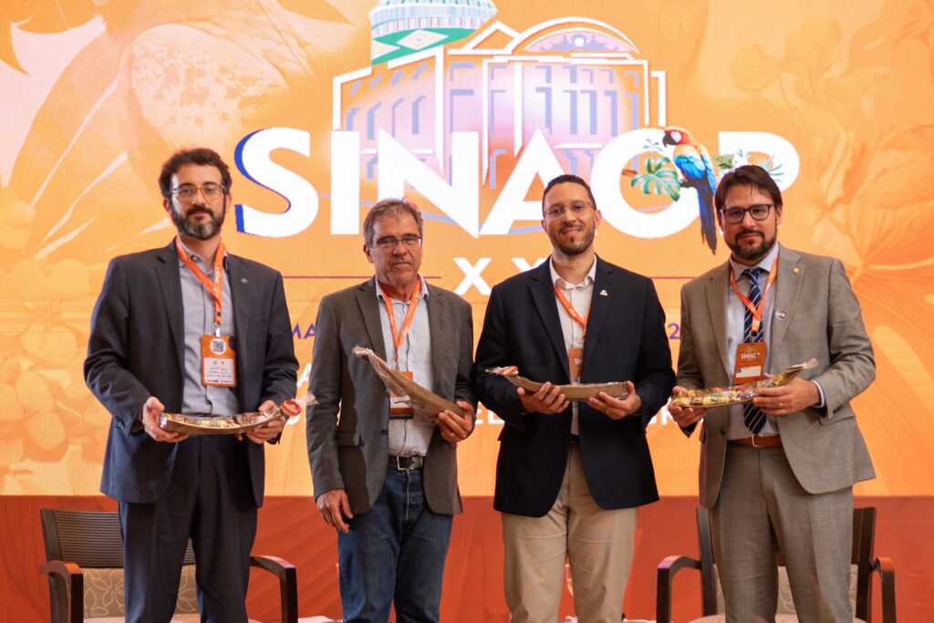 Professor da UFMG apresentou estudo sobre viabilidade econômica e ambiental em grandes obras